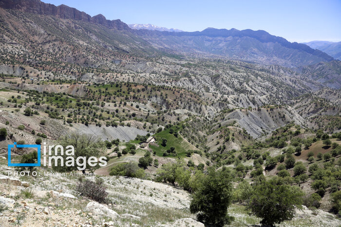 میزگرد ایرنا | خط مقدم بی‌آب؛ کشاورزی چهارمحال و بختیاری در محاصره خشکسالی