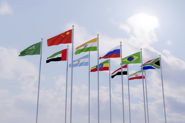 Cumbre del BRICS: Irán abordará cooperación en seguridad con miembros del bloque