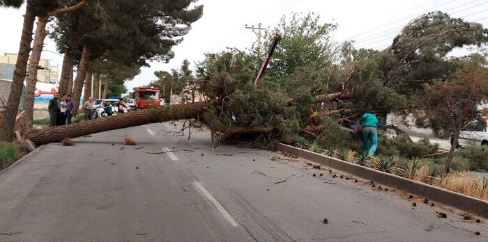 از بازداشت ۲ نفر در حادثه بندر رجایی تا بارگیری ۳۰۰ قلم دارو برای ارسال به عربستان