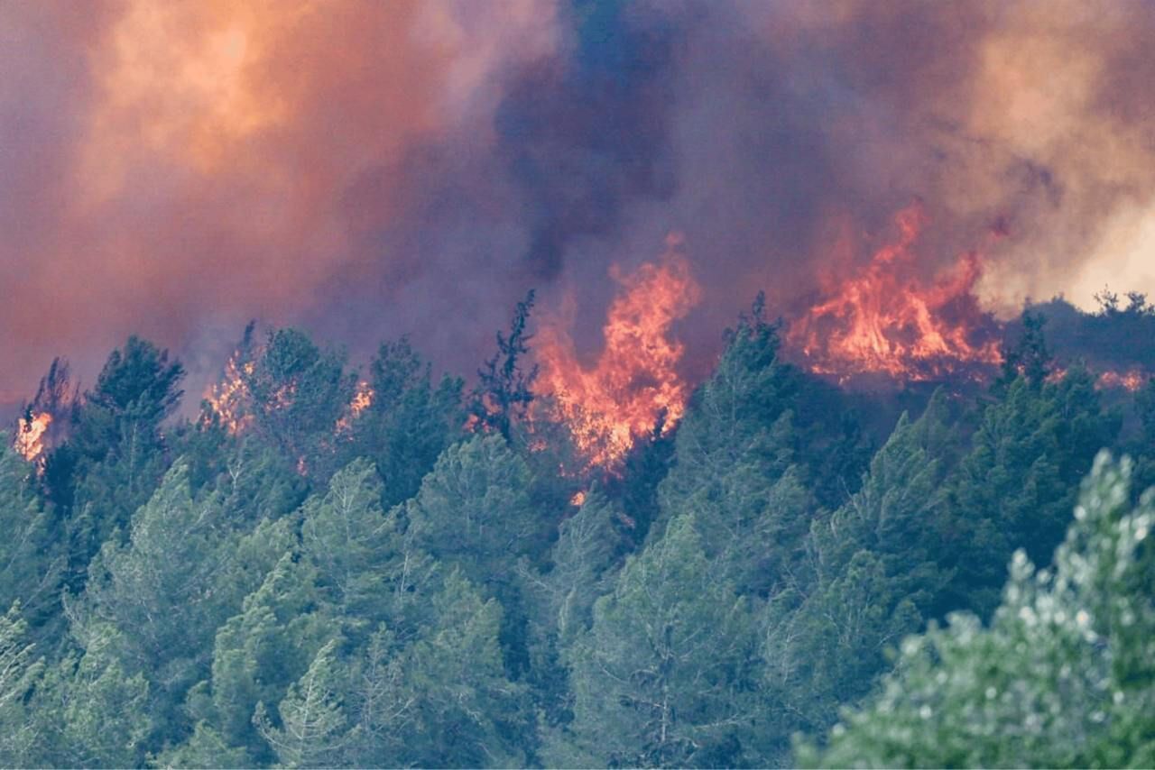 Vidéo : les incendies de Qods occupée se poursuivent