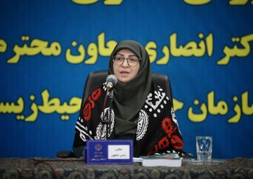 معاون رئیس جمهور: صندوق مقابله با کانون‌های ریزگرد باید در کشورهای منطقه تشکیل شود