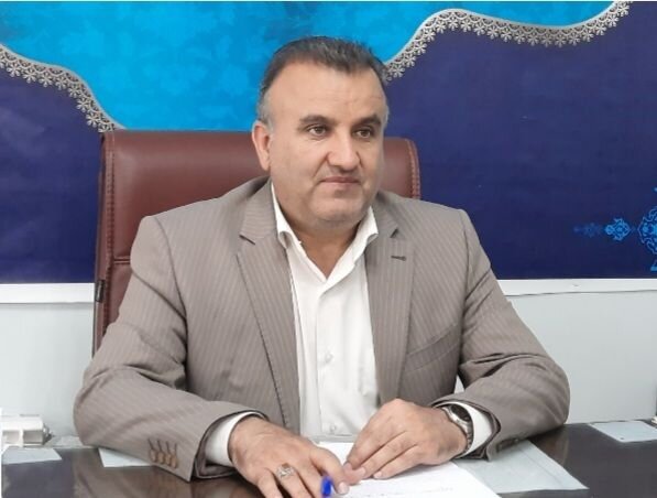 ملایر مهیای سرمایه‌گذاری در تنوع‌بخشی به فرآورده‌های انگور