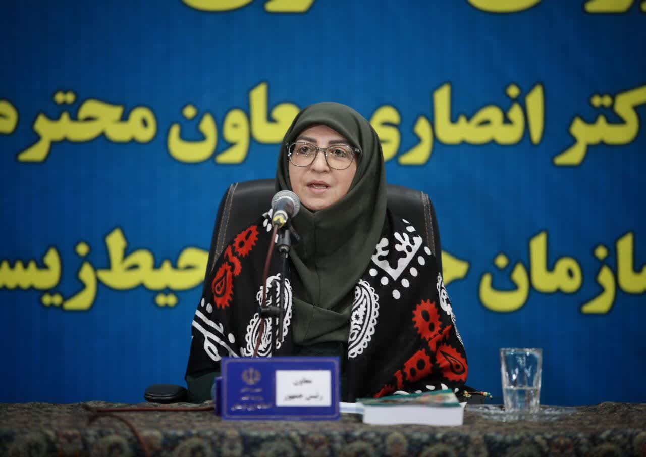 معاون رئیس جمهور: صندوق مقابله با کانون‌های ریزگرد باید در کشورهای منطقه تشکیل شود