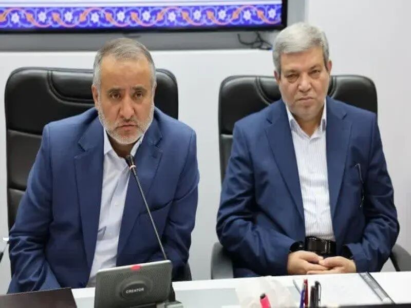 بستر اشتغال ۱۵۰ هزار مددجوی بهزیستی خراسان جنوبی فراهم می‌شود