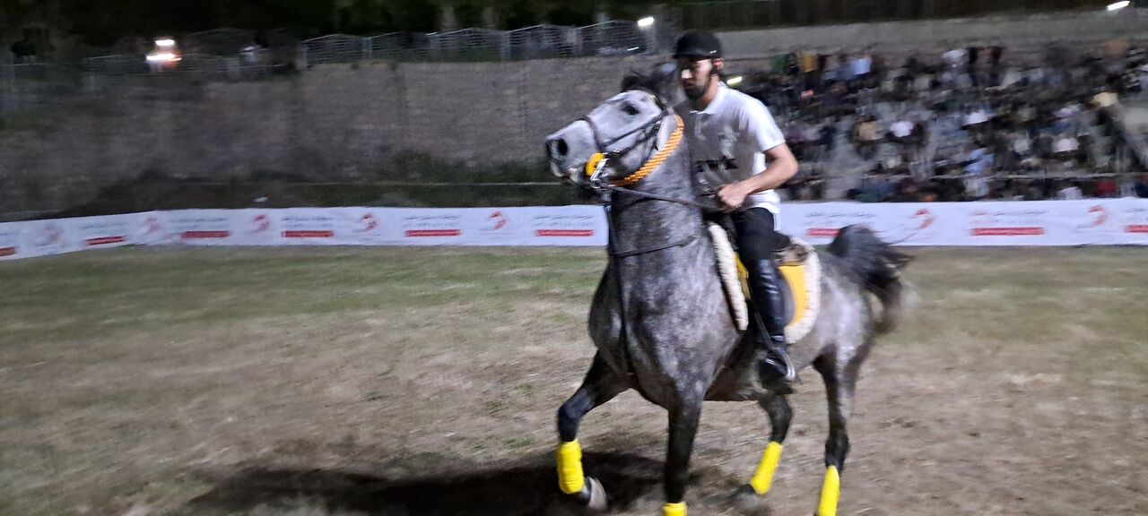 فیلم | جشنواره اسب اصیل کُردی فیلم | جشنواره اسب اصیل کُردی