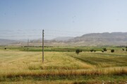 استاندار کرمانشاه: سامانه گرمسیری غرب استان را متحول می کند