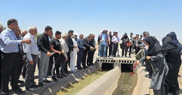 بم سرزمین قنات و قدمت