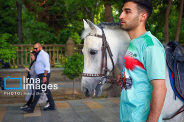 Ispahan : Tournoi du polo (Tchogan)