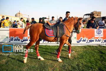 Ispahan : Tournoi du polo (Tchogan)