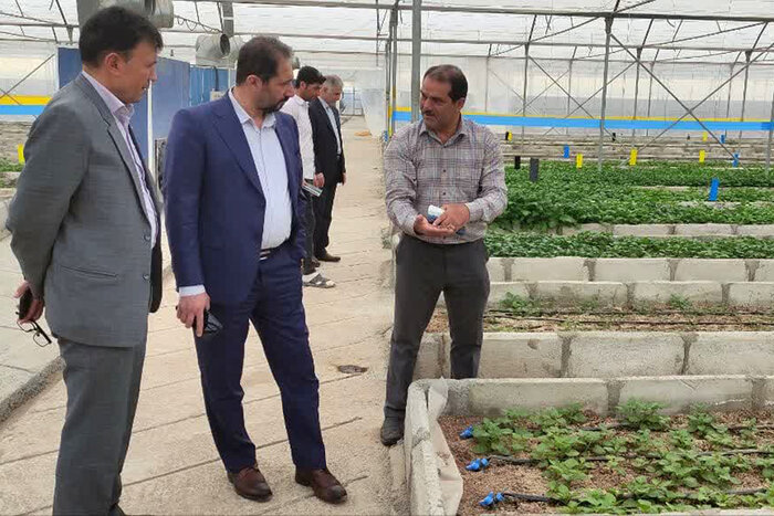 کارگروهی برای بررسی مشکلات سیب‌زمینی‌کاران اردبیل تشکیل می‌شود