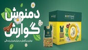 رُستَنی؛ همراه ضربان زندگی با طعم اصیل طبیعت