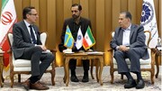 Sweden seeks closer trade ties with Iran’s private sector: Ambassador