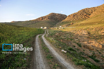 Apicultura en Irán