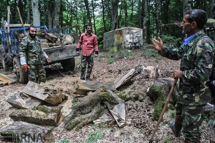 همصدایی برای نجات تنها فسیل زنده دنیا