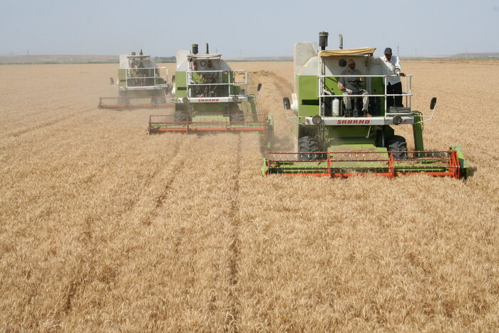 ۱۱ طرح بزرگ کشاورزی ایلام چشمانتظار حمایت دولت