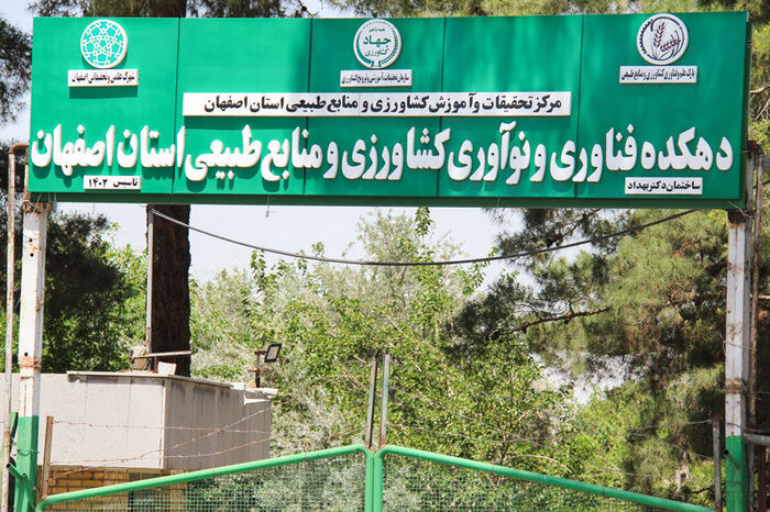 «ایرانزاد» روایتگر ژنهای فراموش شده درختان ایران