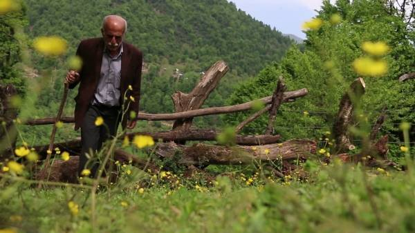 پخش مستندهای تلویزیونی با موضوع زیارت و روز معلم/ پرترهای از شهید رئیسی در «ابراهیم»