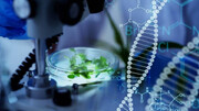 طرح تقسیم کار ملی در حوزه زیست‌فناوری و سلامت، گامی در اقتصاد دانش‌بنیان