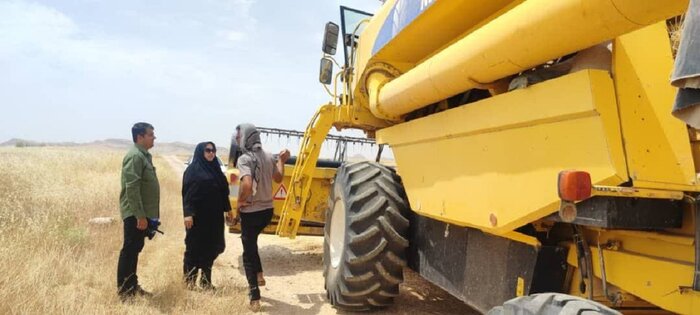 ۶۰ درصد مزارع کشاورزی دیم گچساران برداشت نمی شود