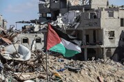 7 European states call for immediate end to Gaza siege