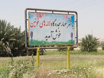 چشمان سومار؛ کم سو و بیمار
