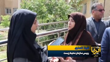 انصاری: هر طرحی را برای افزایش شانس بقای یوزپلنگ امتحان می‌کنیم