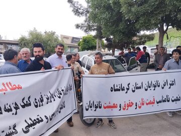 نانوایان کرمانشاه خواستار رسیدگی به مشکلات خود شدند