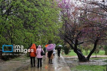 15 de Ordibehesht: “Día de Shiraz”