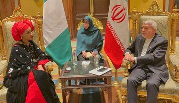 صالحی‌امیری بر طراحی و اجرای نقشه راه دیپلماسی فرهنگی با نیجریه تاکید کرد