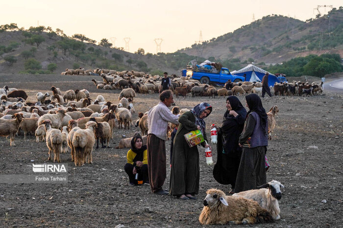 ۱۳۰ میلیارد ریال برای آبرسانی به عشایر لرستان هزینه شد / توزیع ۲ هزار پنل خورشیدی