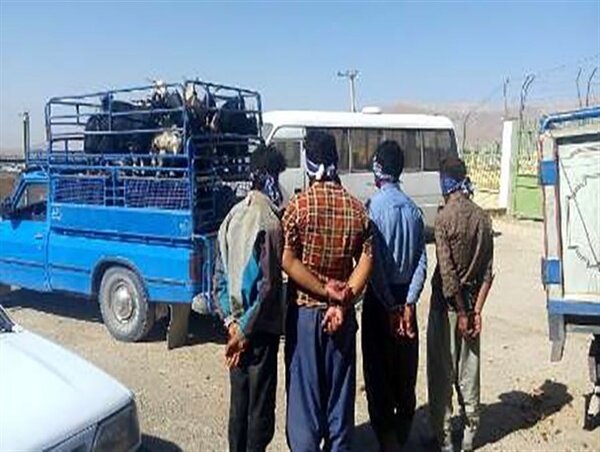 بسته خبری پلیس مرکزی؛ کشف ۲۰ دستگاه استخراج ارز دیجیتال تا دستگیری سارقان احشام