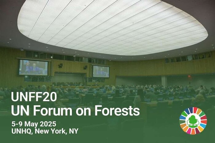 برگزاری بیستمین نشست سالانه مجمع بینالدول جنگل سازمان ملل متحد