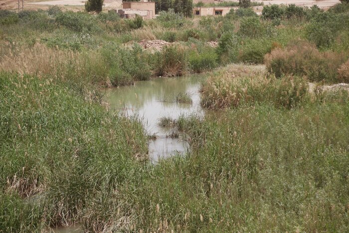چشمان سومار؛ کم سو و بیمار