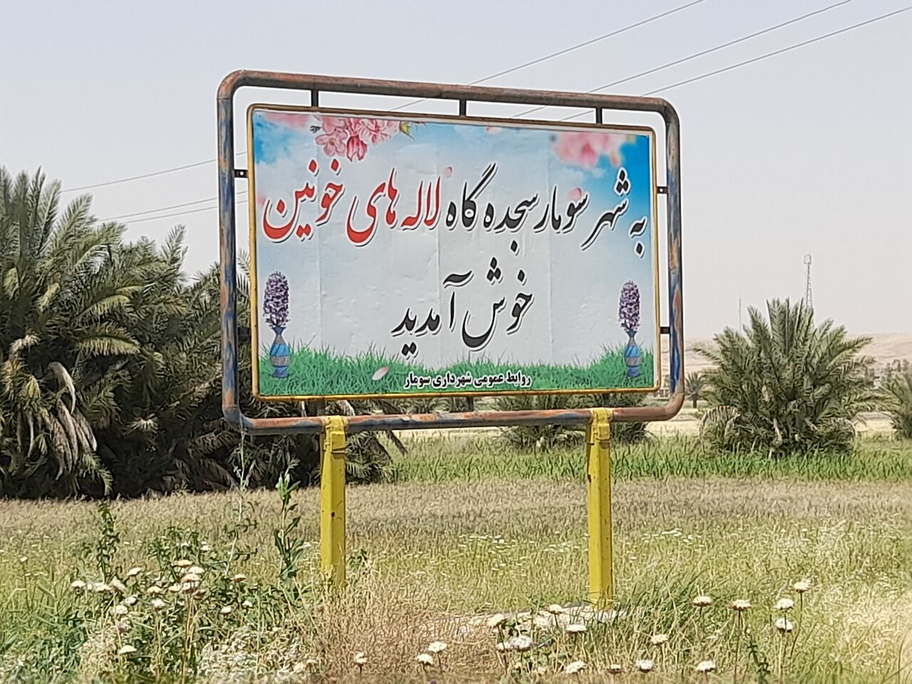 چشمان سومار؛ کم سو و بیمار