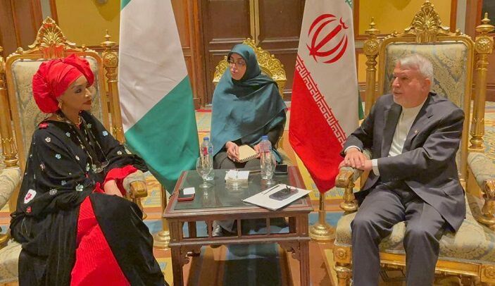 صالحیامیری بر طراحی و اجرای نقشه راه دیپلماسی فرهنگی با نیجریه تاکید کرد