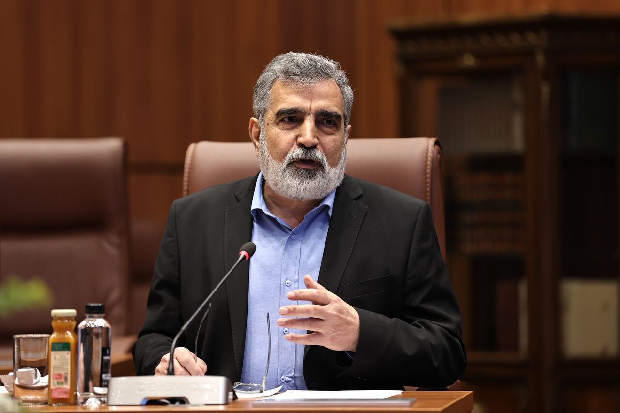 کمالوندی: برخورداری کامل از فناوری صلح‌آمیز هسته‌ای،‌حق ایران است