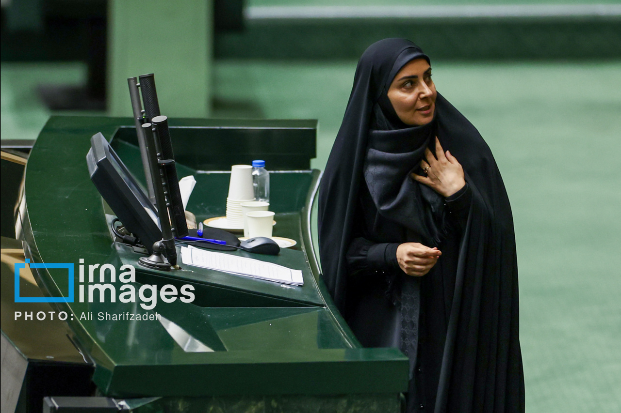 نماینده مجلس: با استیضاح وزرا مشکلی حل نمیشود/ اولویت با نظارت کارشناسی و فنی است