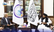 د افغانستان بډایه کاني سرچینې د تهران او کابل ترمنځ د دوه اړخیزو همکاریو د پراختیا لپاره یو ښه فرصت دی