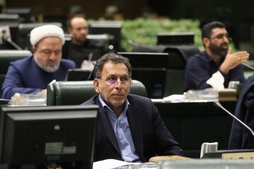 نماینده مجلس: با استیضاح وزرا مشکلی حل نمی‌شود/ اولویت با نظارت کارشناسی و فنی است