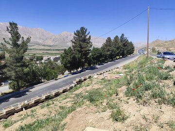 ساماندهی ورودی شهر شلمزار چهارمحال و بختیاری هزار و ۲۰۰ میلیارد ریال اعتبار نیاز دارد