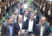 وزیر جهاد کشاورزی از مجتمع کشت و صنعت مغان بازدید کرد