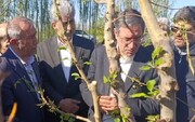 چهار همت به بخش کشاورزی آذربایجان‌غربی خسارت وارد شد+فیلم