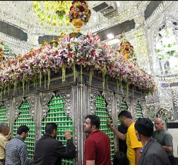 گل آرایی حرم عبدالعظیم در سالروز ولادت حضرت امام رضا (ع)/ آمدم ای شاه پناهم بده