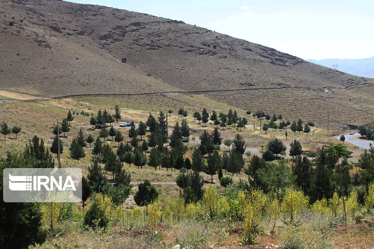 یکهزار و ۵۰۰ هکتار بیابان زدایی در گچساران انجام شد