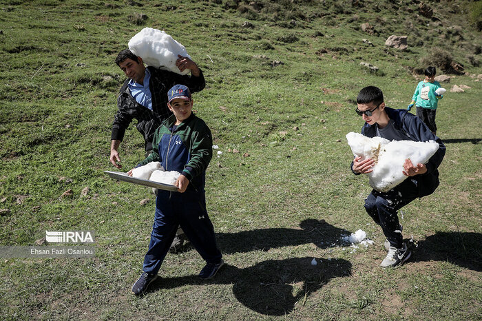 آیین «ورف چال» در آمل؛ از پادشاهی زنان تا حفظ سنت ۶۰۰ ساله