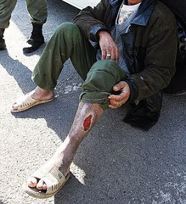 هشدار به خانوادهها و نسل جوان/ این گیاهان مخدرند