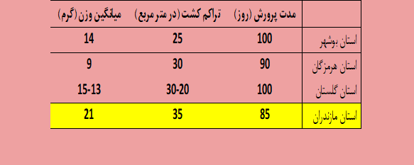 تبعات پژوهشکده‌ای که به تعطیلی کشانده شد 