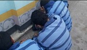 فیلم| نمایشگاه کشفیات نیروی انتظامی در کرمان