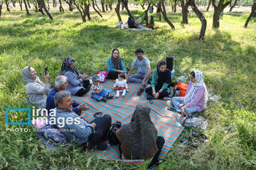 Les habitants de Qazvin célèbrent la fête du 50e jour de l’année