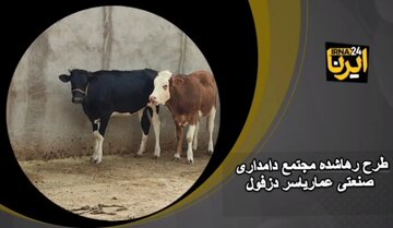 فیلم| طرح رها شده مجتمع دامداری عمار یاسر دزفول